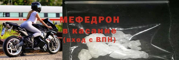 индика Абаза