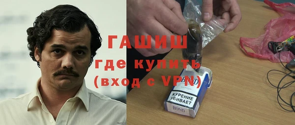 индика Абаза