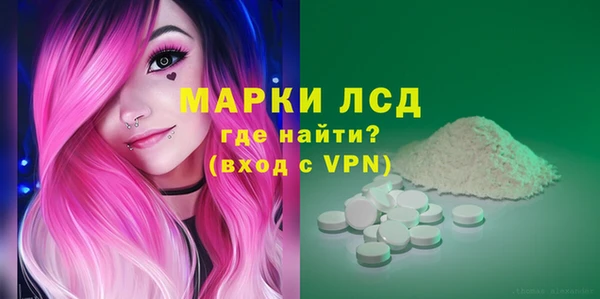 индика Абаза