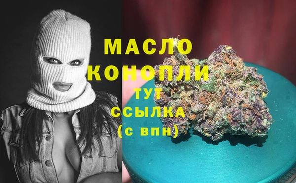 индика Абаза