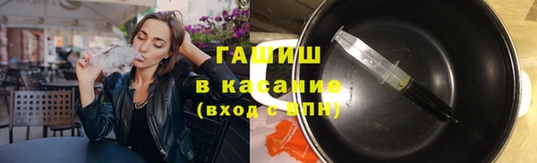 индика Абаза