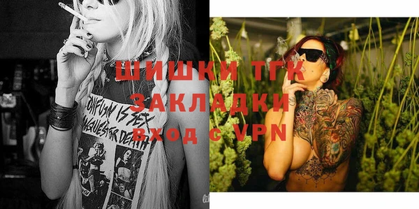 индика Абаза