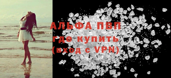 индика Абаза