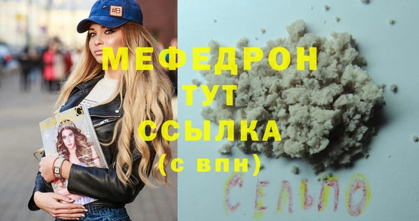 индика Абаза