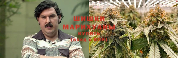 индика Абаза