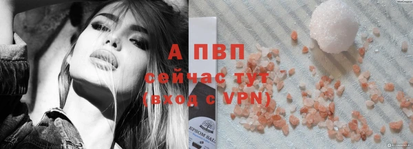 индика Абаза