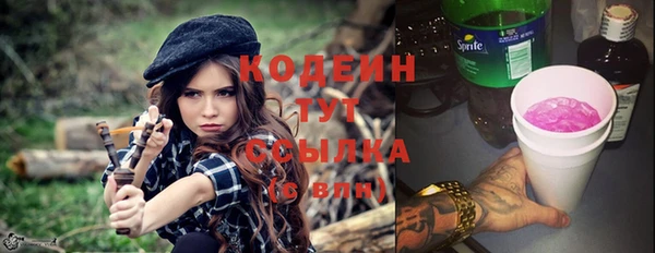 индика Абаза