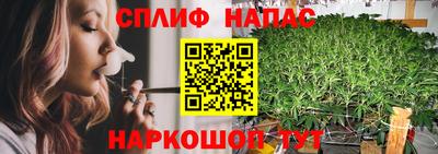 крисы Михайловка